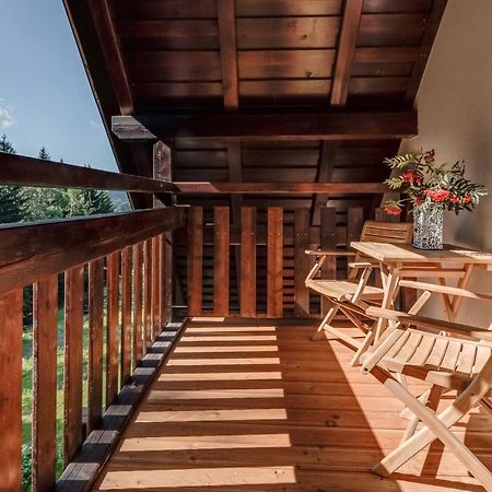 Ski, Hike & Bike Apartman 捷克布杰约维采 外观 照片